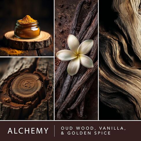 ScentSationals Alchemy Fragrance Oil Plug In Air Freshener Refills 3-Pack - Works with Scentsationals Wall Plugs, Long-Lasting Home Fragrance, 0.8 fl oz Each, Packaging May Vary in Saudi Arabia
