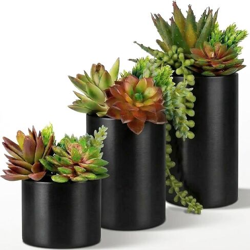 SEEKO Succulents Artificial Plants for Office Décor, Desk Plant Decor, Office Desk Decor, Bathroom Shelf Decor - Masculine Home Decor, Mini Faux Plants Indoor, Small Fake Plant Greenery (2 Pack) in Kuwait