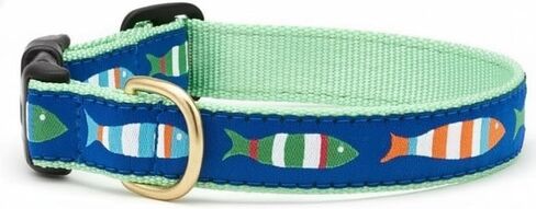 Up Country Fun-C-S Funky Fish Dog Collar S Narrow (5/8 Inches) in Saudi Arabia