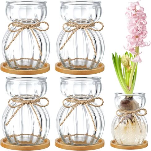 LemonRoad 4 Pcs Bulb Glass Vases for Flowers Forcing Hyacinth Avocado Clear Decorative Bulb Vase with Round Bamboo Coaster for Women Gardening Lovers Home Office Plant Table Decoration in Kuwait