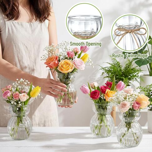 LemonRoad 4 Pcs Bulb Glass Vases for Flowers Forcing Hyacinth Avocado Clear Decorative Bulb Vase with Round Bamboo Coaster for Women Gardening Lovers Home Office Plant Table Decoration in Kuwait