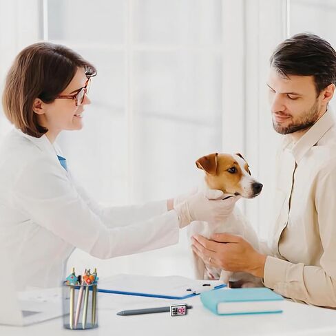 أقلام التكنولوجيا البيطرية اللطيفة، هدايا التكنولوجيا البيطرية البيطرية، مجموعة حبر أسود للموظفين البيطريين المساعدين، طباعة مخالب الكلب، لوازم الطب البيطري، ملحقات طلاب المدارس البيطرية، أساسيات قرطاسية الحيوانات in Kuwait