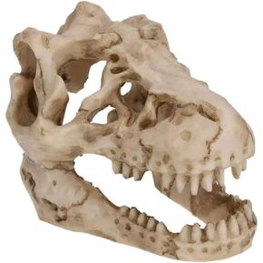 2Pcs Aquarium Decoration Small Resin Dinosaur Skull Skeleton Fish Tank Aquarium Aquarium Cave Pet Reptile House Decoration