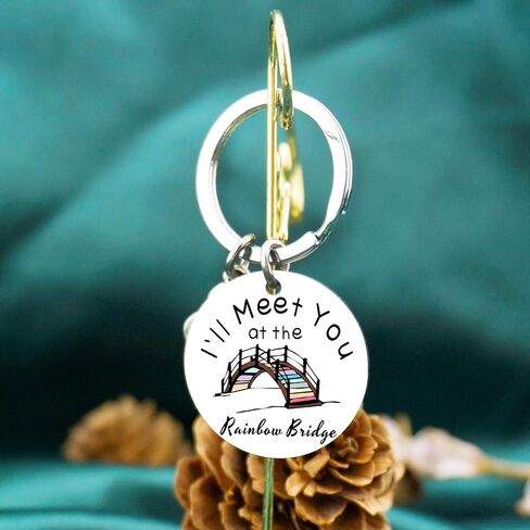Pet Memorial Keychain Dog Memorial Gifts For Loss Of Dog Pet Loss Gifts For Dog Lovers Rainbow Bridge Dog Cat Memorial Gifts Pet Loss Sympathy Gift For Pet Owner in Saudi Arabia