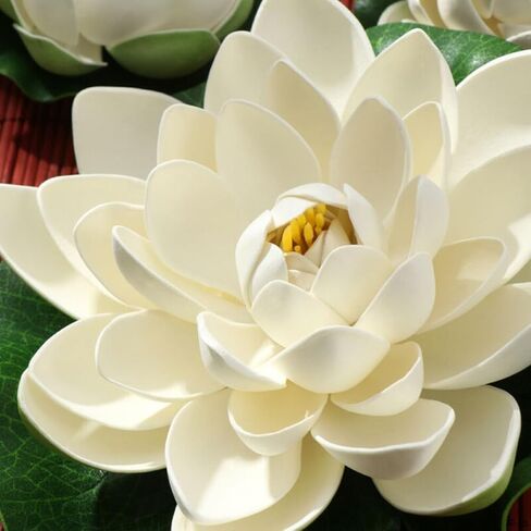 6 Pcs White Artificial Lotus Flowers Large Floating Lotus Faux Water Lily Flowers Fish Pond Artificial Plants with Artificial Lily Pads, Artificial Plants in Saudi Arabia
