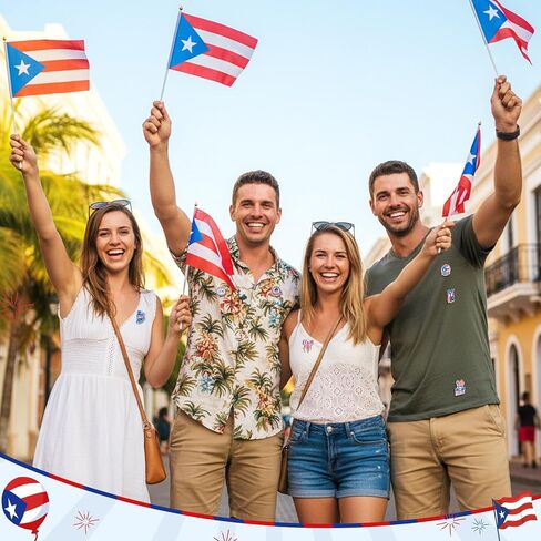 24 Pcs Puerto Rico Pins Souvenirs Gift Bulk Pavas De Puerto Rico Flag Coqu Lapel Brooches Patriotic Accessories Decor for Parade Party Favors Supplies in Saudi Arabia