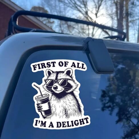 2pc 4.13''x5.12'' Humorous Raccoon Vinyl Sticker First of All I'm a Delight - Glossy Self-Adhesive Decal for Laptop, Car, Helmet, Window, Wall - Waterproof & UV-Proof Car Decal Sticker | CZ08 in Saudi Arabia