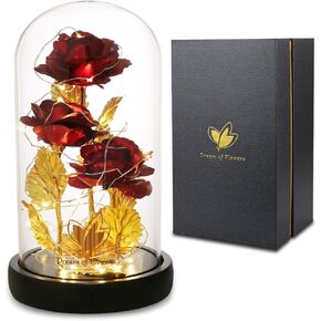 هدايا عيد الحب لها، وردة الجمال والوحش في قبة زجاجية، وردة حمراء تدوم إلى الأبد مع أضواء LED، هدايا للنساء والأم والزوجة والذكرى السنوية وأعياد الميلاد وديكور منزل الزفاف in Kuwait