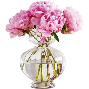 مزهريات زجاجية كبيرة للقطع المركزية واسعة وكبيرة مضلعة مزهرية صفير لمبة الأفوكادو المزهريات الشفافة لتزيين الطاولة سمك حديث لحفل زفاف ديكور غرفة المعيشة المنزلية 7.63 بوصة عرض × 8.66 بوصة ارتفاع in Kuwait