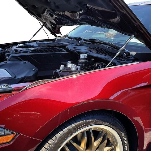 Redline Tuning 21-11035-03 Hood QuickLIFT Elite Bolt-in System Compatible with Ford Mustang 2015-2023 (Stainless Steel Struts) in Saudi Arabia