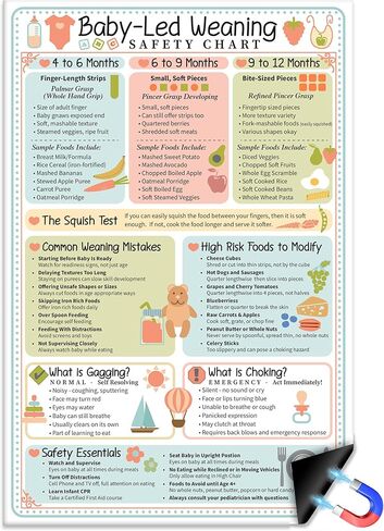 Baby Led Weaning Safety Chart Magnet 6x9 Baby Feeding Guide by Age 4 to 12 Months Finger Food Sizes and Textures Choking vs Gagging Reference Laminated Refrigerator Magnet Kitchen Feeding Chart in Saudi Arabia