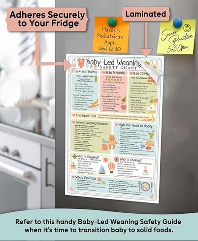 Baby Led Weaning Safety Chart Magnet 6x9 Baby Feeding Guide by Age 4 to 12 Months Finger Food Sizes and Textures Choking vs Gagging Reference Laminated Refrigerator Magnet Kitchen Feeding Chart in Saudi Arabia