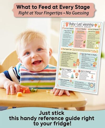 Baby Led Weaning Safety Chart Magnet 6x9 Baby Feeding Guide by Age 4 to 12 Months Finger Food Sizes and Textures Choking vs Gagging Reference Laminated Refrigerator Magnet Kitchen Feeding Chart in Saudi Arabia