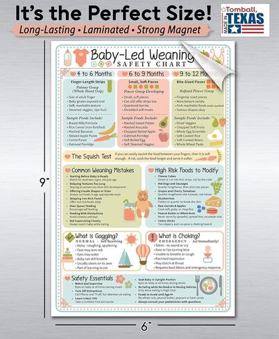 Baby Led Weaning Safety Chart Magnet 6x9 Baby Feeding Guide by Age 4 to 12 Months Finger Food Sizes and Textures Choking vs Gagging Reference Laminated Refrigerator Magnet Kitchen Feeding Chart in Saudi Arabia