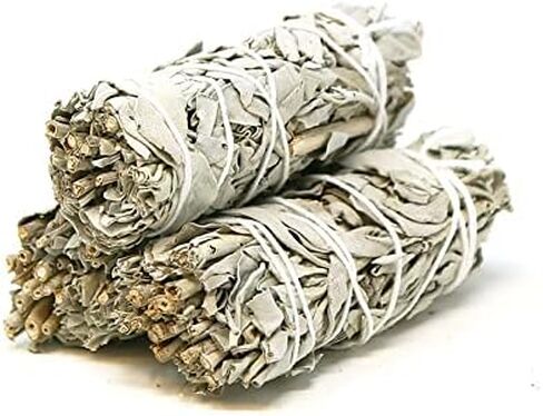 Saint Terra - California White Sage Smudge Stick 4 Inches; Pack of 3 in Kuwait