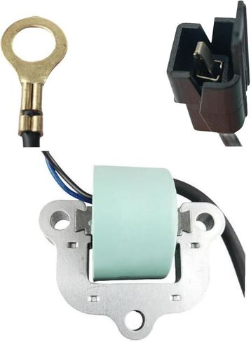 Ignition Coil Assembly 0581786 0581370 0502881 for Johnson Evinrude OMC Outboard 18 20 25 35 40 HP Replace Sierra 18-5172 581786 581124 581370 502881 in Saudi Arabia