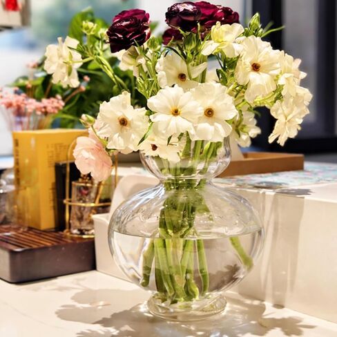 مزهريات زجاجية كبيرة للقطع المركزية واسعة وكبيرة مضلعة مزهرية صفير لمبة الأفوكادو المزهريات الشفافة لتزيين الطاولة سمك حديث لحفل زفاف ديكور غرفة المعيشة المنزلية 7.63 بوصة عرض × 8.66 بوصة ارتفاع in Kuwait