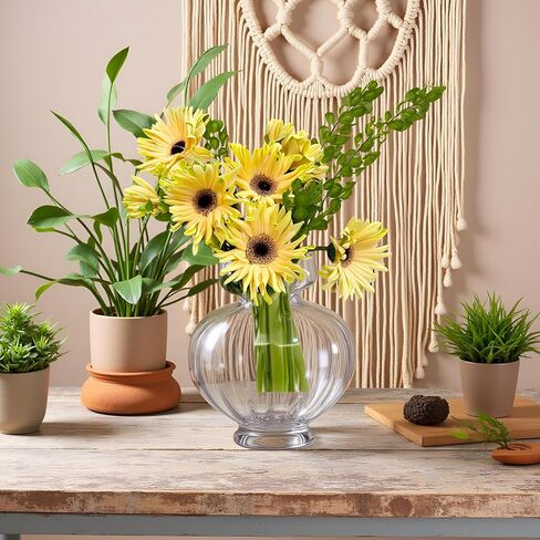 مزهريات زجاجية كبيرة للقطع المركزية واسعة وكبيرة مضلعة مزهرية صفير لمبة الأفوكادو المزهريات الشفافة لتزيين الطاولة سمك حديث لحفل زفاف ديكور غرفة المعيشة المنزلية 7.63 بوصة عرض × 8.66 بوصة ارتفاع in Kuwait