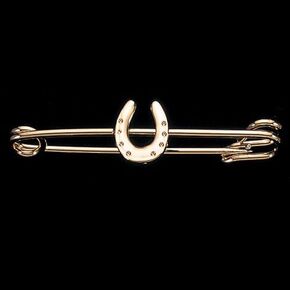 Horseshoe Stock Gold Plate Pin in Kuwait