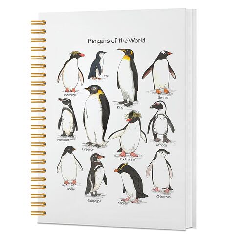 KAIOUS Penguin Notebook Gifts for Women Men — Penguins of the World Penguin Spiral Hardcover Journal Notebook Office Supplies in Saudi Arabia