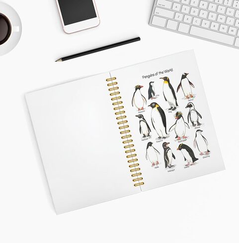 KAIOUS Penguin Notebook Gifts for Women Men — Penguins of the World Penguin Spiral Hardcover Journal Notebook Office Supplies in Saudi Arabia