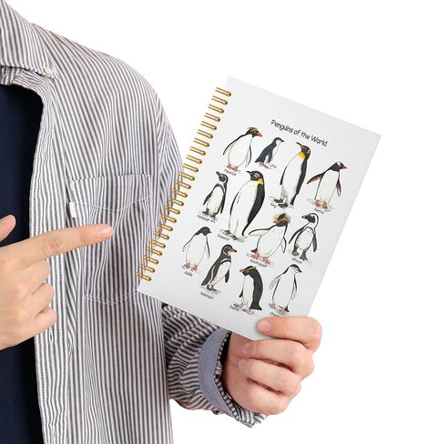 KAIOUS Penguin Notebook Gifts for Women Men — Penguins of the World Penguin Spiral Hardcover Journal Notebook Office Supplies in Saudi Arabia
