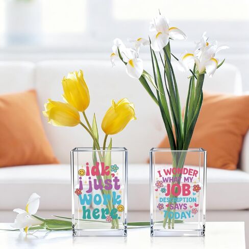 Idk I Just Work Here Acrylic Pen Holder Cup Set 2, Cute Pencil Holder Desk Organizer, Funny Desk Accessories, Sarcastic Gag Office Gifts for Women Coworkers Teachers Work Besties Boss Employees in Kuwait