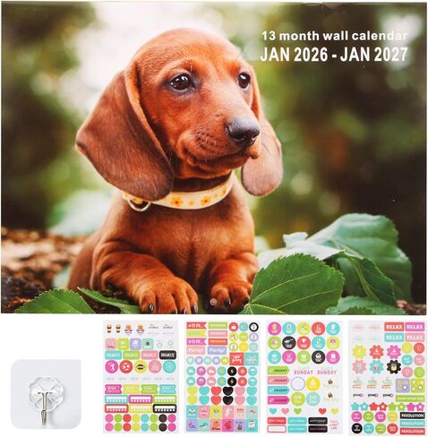 تقويم حائط 2026 لمدة 12 شهرًا، يناير 2026-ديسمبر 2026، تقويم حائط كبير مقاس 16 × 12 بوصة، مخطط مثالي لعام 2026 للمكتب والمدرسة والأسرة، تقويم للتثبيت على الحائط مع علامات وملصقات العطلات، وخطافات الحائط in Kuwait