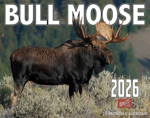 تقويم جداري 2026 Bull Moose لمدة 16 شهرًا مقاس X-Large 14x22، تقويم Wild Bull Moose من The KING Company-Monster Calendars in Kuwait