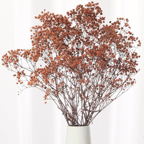 Babys Breath Dried Flowers Bouquet-17'' 1800+ Ivory Dry Flowers, Natural Gypsophila Branches for Wedding, Home Table Vase Decor, DIY Wreath Floral, Fall Thanksgiving Autumn Decoration (Brown, 2oz) in Kuwait