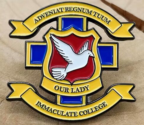 Derry Girls Our Lady Immaculate College Uniform Symbol Emblem Logo Adveniat Regnum Tuum Thy Kingdom Come Ireland British Irish Catholic Comedy TV Show 1.6" Enamel Pin Badge in Saudi Arabia