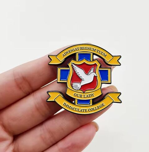 Derry Girls Our Lady Immaculate College Uniform Symbol Emblem Logo Adveniat Regnum Tuum Thy Kingdom Come Ireland British Irish Catholic Comedy TV Show 1.6" Enamel Pin Badge in Saudi Arabia