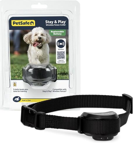 PetSafe Stay+Play Wireless Receiver Collar Blk in Kuwait