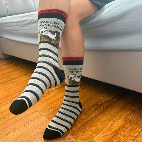 جوارب VVEEWUU للرجال بنمط مضحك مكونة من 5 قطع جوارب قطنية مطبوعة عصرية هدايا للرجال والنساء (ألوان مختلطة 1) in Kuwait