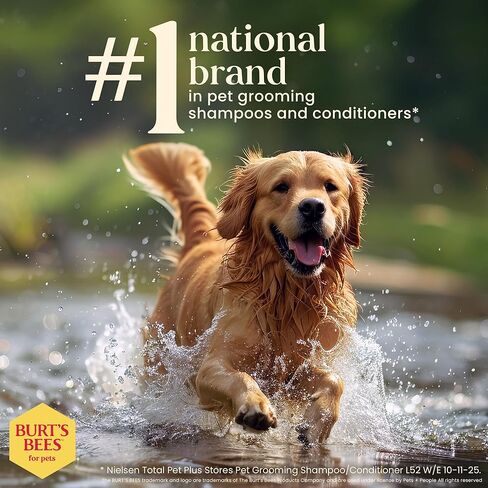 BURT'S BEES FOR PETS Cat Comb, 2-in-1 Double Sided, Removes Fleas, Tangles and Matted Fur, Regular Cat Comb, Ideal for Daily Grooming in Kuwait