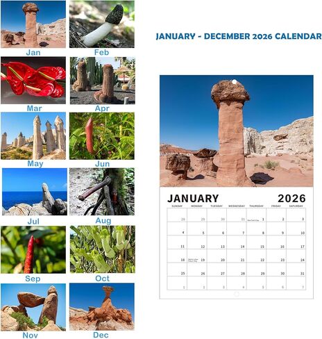 الطبيعة طلقات الديك التقويم 2026، تقويم الحائط المناظر الطبيعية الإبداعية، التقويم الشهري جدار الفن الأسرة، القذرة فرحان هفوة سانتا الهدايا للبالغين in Kuwait