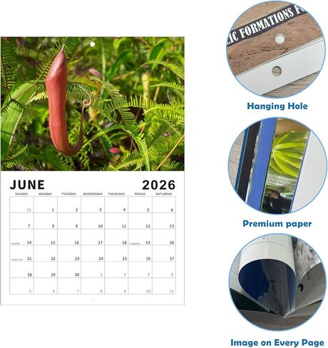 الطبيعة طلقات الديك التقويم 2026، تقويم الحائط المناظر الطبيعية الإبداعية، التقويم الشهري جدار الفن الأسرة، القذرة فرحان هفوة سانتا الهدايا للبالغين in Kuwait