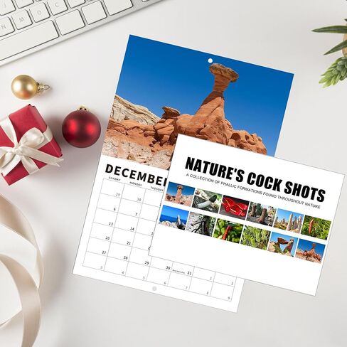 الطبيعة طلقات الديك التقويم 2026، تقويم الحائط المناظر الطبيعية الإبداعية، التقويم الشهري جدار الفن الأسرة، القذرة فرحان هفوة سانتا الهدايا للبالغين in Kuwait