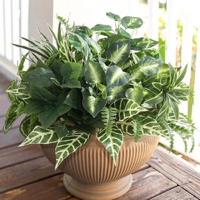 نباتات خضراء صناعية، مجموعات كبيرة خارج النباتات الصناعية للديكور الخارجي - نبات وهمي مقاوم للأشعة فوق البنفسجية للمزارعين، شجيرات خضراء وهمية واقعية لديكور الفناء والشرفة الأمامية in Kuwait