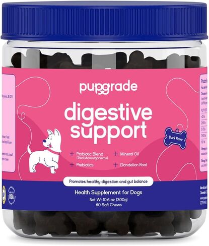 PupGrade Digestive Support Chews for Dogs - Prebiotic and Probiotic Supplement with Enzyme Blend - Upset Stomach, Diarrhea, Bowel, and Immune Support - Pumpkin, Blueberry, Mineral Oil - 60 Soft Chews in Kuwait