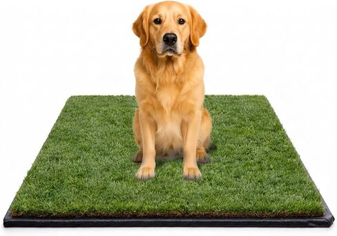 DoggieLawn XXL Real Grass Pee Pads for Dogs with Flex Mat – Fresh Reusable Grass Dog Potty Training Mat with Tray – Apartment-Friendly Indoor/Outdoor Pet Litter Box Patch – 48x48 Inches in Kuwait