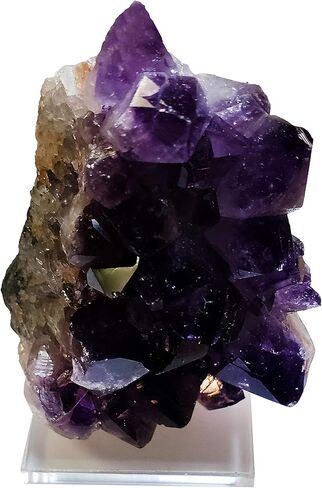 Clear Choice 12 Pack Acrylic Laser Cut Bases Unpeel | Multipurpose, Display Small Pottery, Mineral Specimens, Mini Figuring’s and More (2.00 x 2.000 x .187) in Kuwait