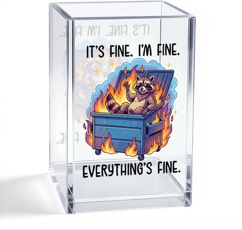 إنه جيد. أنا بخير. حامل قلم رصاص منظم من الأكريليك من كل شيء، منظم مكتب سلة المهملات الراكون، هدايا فكاهية للمفكرين القلقين، هدايا العودة إلى المدرسة لابنة أخت in Kuwait