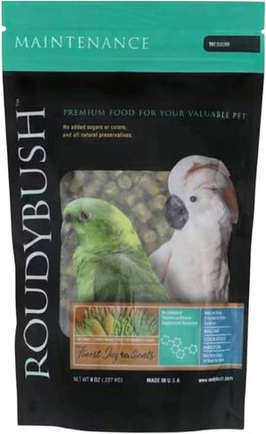 Roudybush Daily Maintenance Bird Food, Small, 22-Ounce in Kuwait