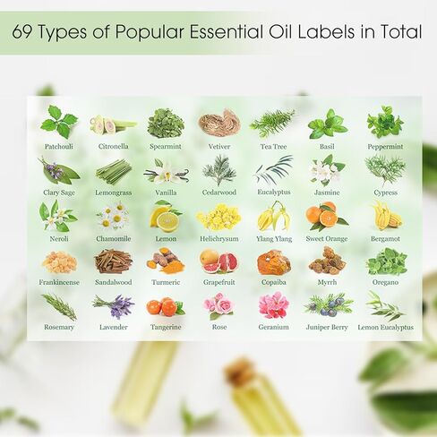 800PCS Essential Oils Labels for Bottle Caps, 1/2 Inch Circle Bottle Cap Lid Stickers for Essential Oil, Multicolor Organization Labels for Rollerball Aromatherapy Bottles in Kuwait