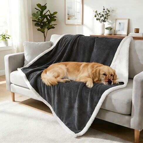 Large Dog Blanket, Super Soft Fluffy Sherpa Fleece Dog Couch Blankets and Throws for Large Medium Small Dogs Puppy Doggy Pet Cats, 50x60 inches in Kuwait