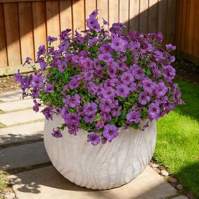 SwanMoon Artificial Flowers for Outdoors - UV Resistant Fake Silk Daisy Flowers with Eucalyptus Leaves, Faux Plastic Plants for Porch, Patio, Garden, Window Box & Home Decor, 12 Bundles in Saudi Arabia