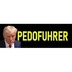 ملصق ملفات مكافحة ترامب إبستين مقاس كبير 3x9 مضحك دونالد ترامب بدون ملصقات ملوك in Kuwait