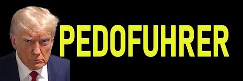 ملصق ملفات مكافحة ترامب إبستين مقاس كبير 3x9 مضحك دونالد ترامب بدون ملصقات ملوك in Kuwait