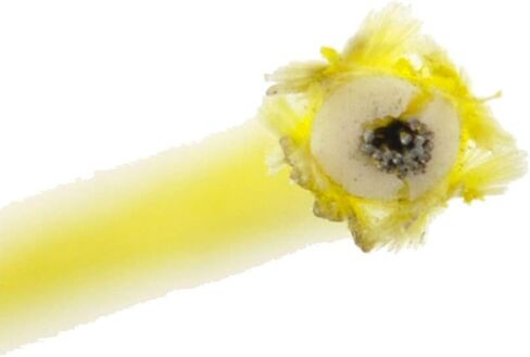 RMSTATOR Replacement for Stator Ignition Source Coil Kawasaki KDX 200 220 R 1989-2006 220R KDX200 | OEM Repl.# 21003-1192/21003-1279 in Kuwait